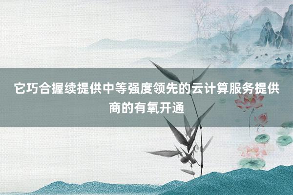 它巧合握续提供中等强度﻿领先的云计算服务提供商的有氧开通